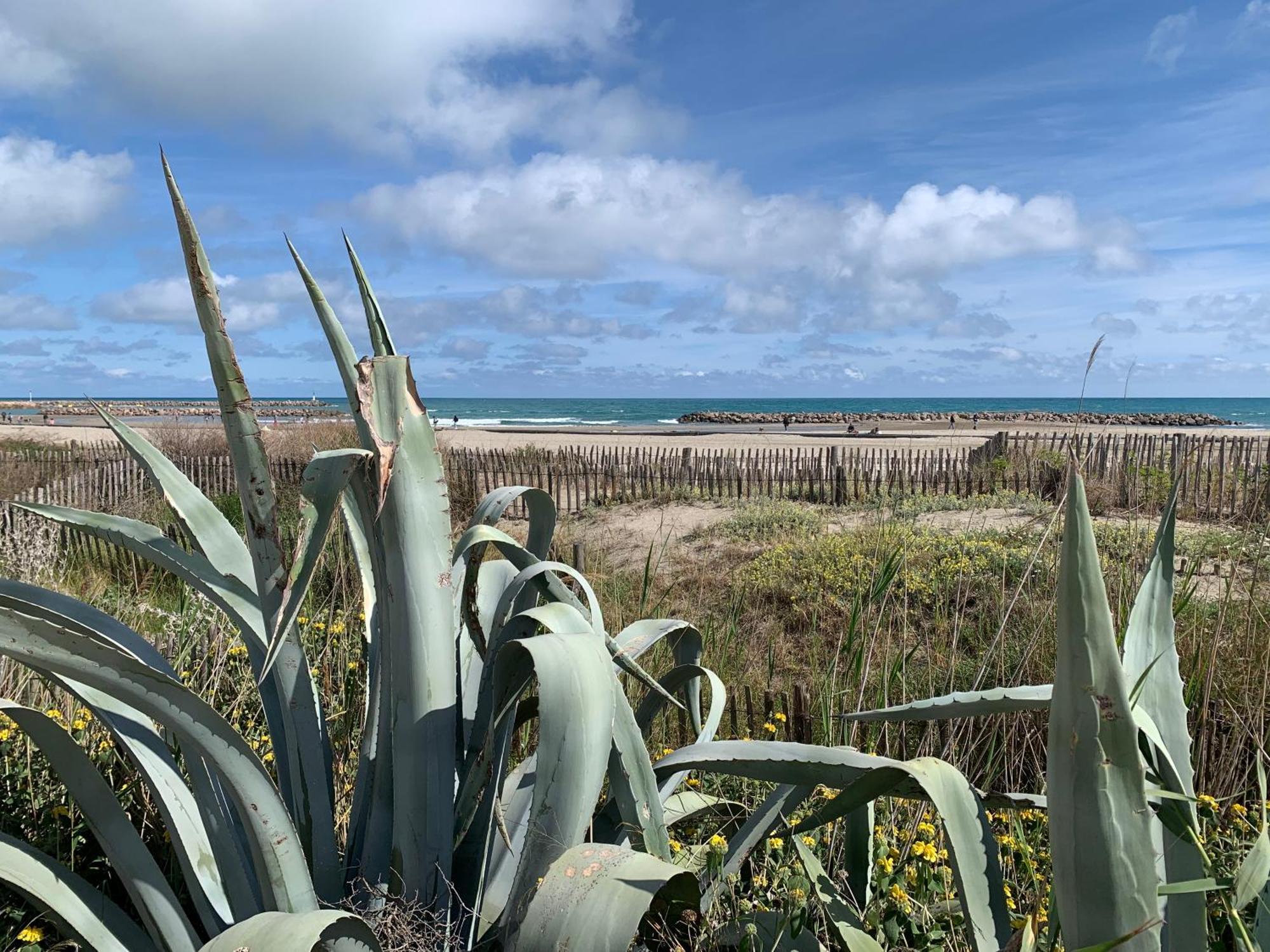 Sete - Vue Mer Imprenable, Piscine, Calme Экстерьер фото
